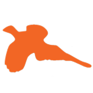 Aiming for A Cure Foundation logo