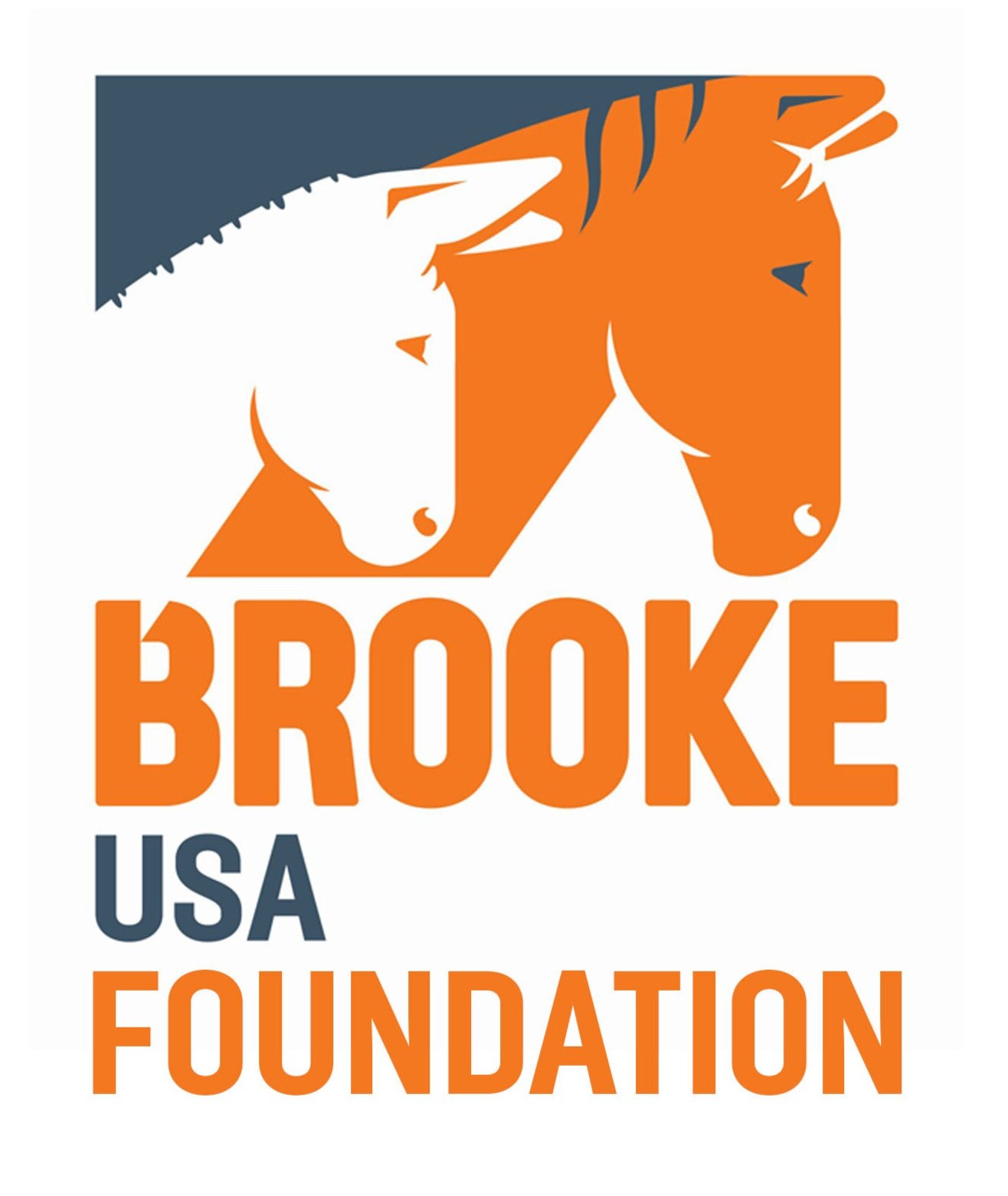 Brooke Usa logo