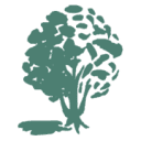 Akron Community Foundation logo