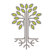 Brown County Community Foundation logo