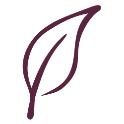 Hidden Leaf Foundation logo