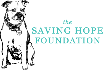 Saving Hope Foundation logo