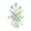 Community Foundation of Wabash County logo