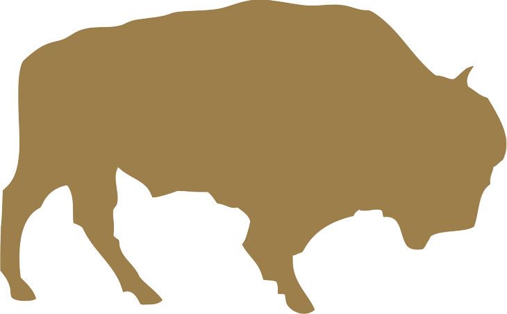 Dakota Foundation Dtd 122997 logo