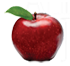 Ann Arbor Pto Thrift Shop logo