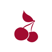 Cherry Street Services Foundation logo