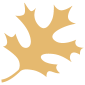 Robert D and Patricia E Kern Family Foundation logo