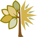 Rochester Area Foundation logo