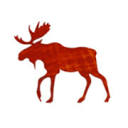 Nash Foundation logo