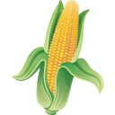 Iowa Corn Promotion Board logo