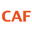 Charities Aid Foundation America logo