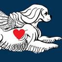 American Cavalier King Charles Spaniel Charitable Trust logo
