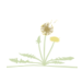 Schillhahn-Huskey Foundation logo
