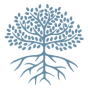 Novo Foundation logo