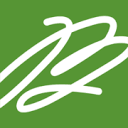 Louis L Borick Foundation logo