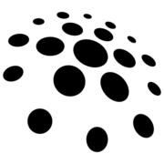 Laidir Foundation C/O Brian Lonergan logo
