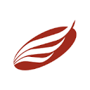 American Eagle Financial Credit Union logo