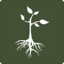 Logo de 4roots Foundation
