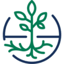 Cnfa logo