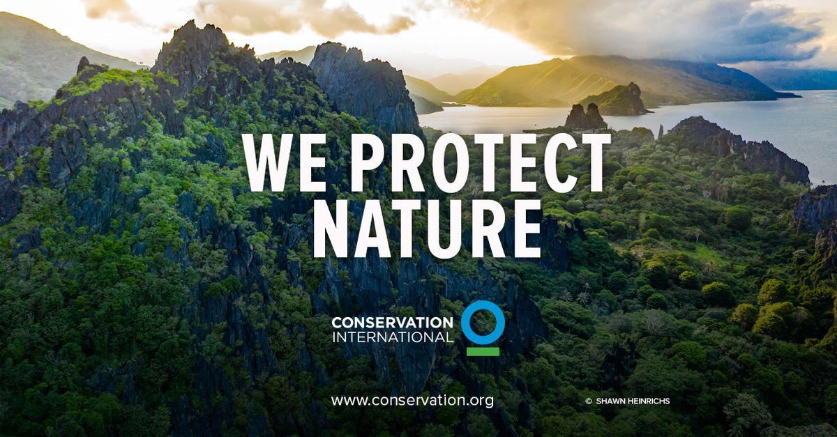Conservation International Foundation logo