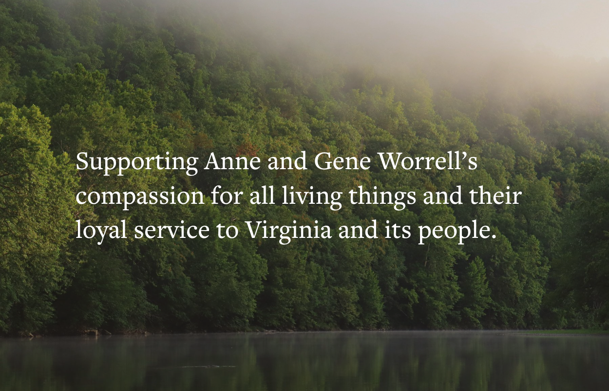 Anne & Gene Worrell Foundation logo