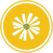 Impact Austin Foundation logo