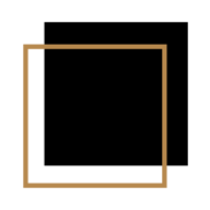 Leon Levine Foundation logo