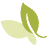 Ray C Anderson Foundation logo