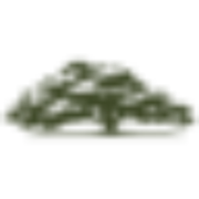 St James Place of Baton Rouge Foundation logo
