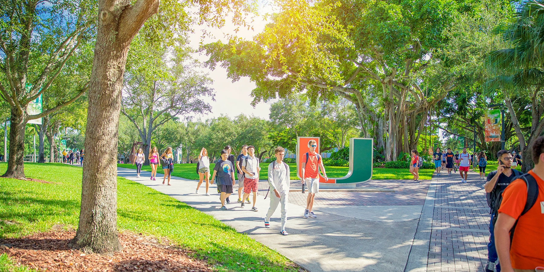 University of Miami logo