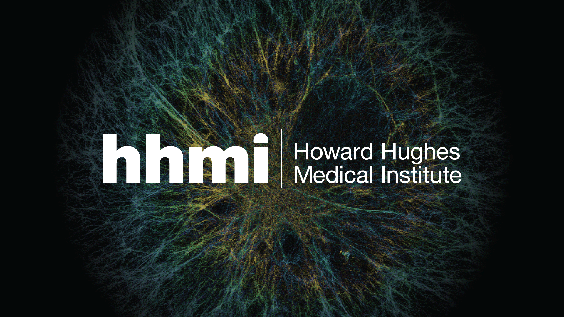 Howard Hughes Medical Institute logo