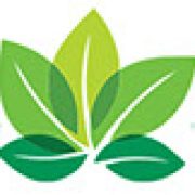 Auer Family Foundation logo