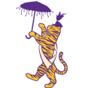 Lsu Health Foundation New Orleans logo