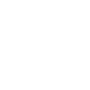 Blue Bird Circle logo