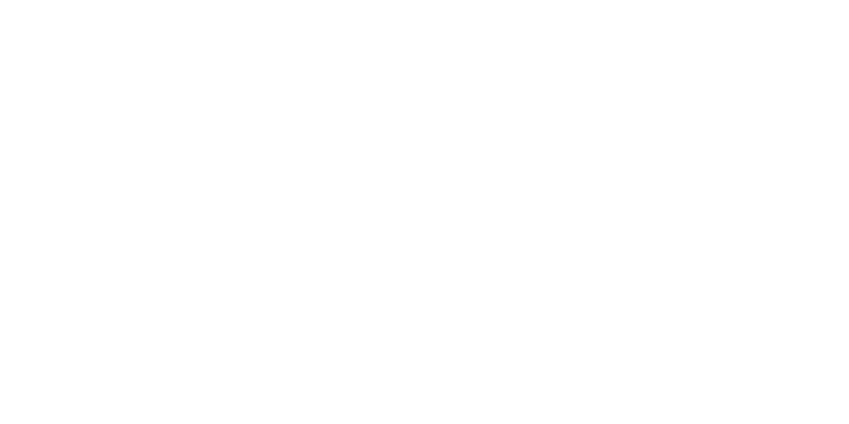 Burdine Johnson Foundation logo