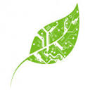 Synopsys Foundation logo