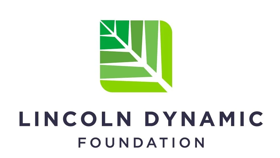 Lincoln Dynamic Foundation logo