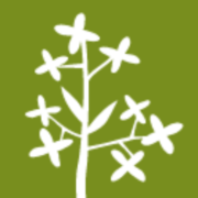Forsythia Foundation logo