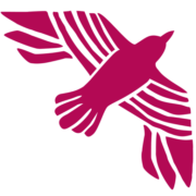 Riff Foundation logo