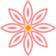 Janice Seagraves Family Foundation logo
