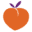 New Georgia Project logo