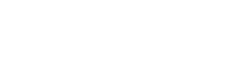 Lander Community Foundation logo
