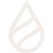 Blue Forest Finance logo