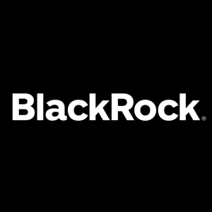 Logo de Blackrock Charitable Foundation