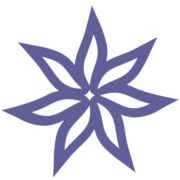 Impact100 Dc logo
