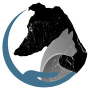 John R Peterson Foundation logo