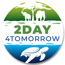 Logo de 2day4tomorrow Foundation