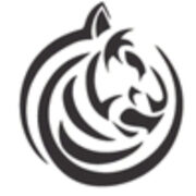 Riaan Research Initiative logo