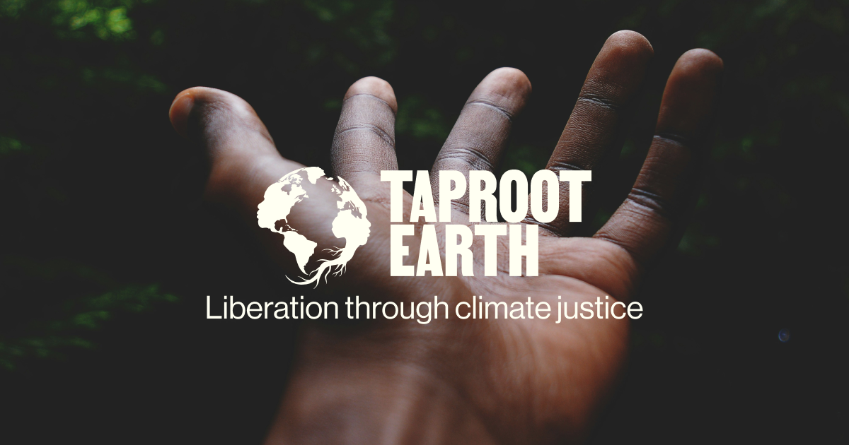 Taproot Earth logo