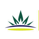 Wana Brands Foundation logo